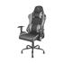 Cadeira Gamer Trust GXT707G Resto, Com Almofadas, Reclinável, Preto e Cinza