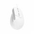 MOUSE TRUST BAYO II ERGONOMICO BRANCO