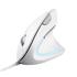 Mouse Trust Verto, LED Azul, Ergonômico, 1600 DPI, 6 Botões, USB, Branco