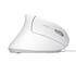 Mouse Trust Verto, LED Azul, Ergonômico, 1600 DPI, 6 Botões, USB, Branco