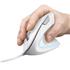 Mouse Trust Verto, LED Azul, Ergonômico, 1600 DPI, 6 Botões, USB, Branco